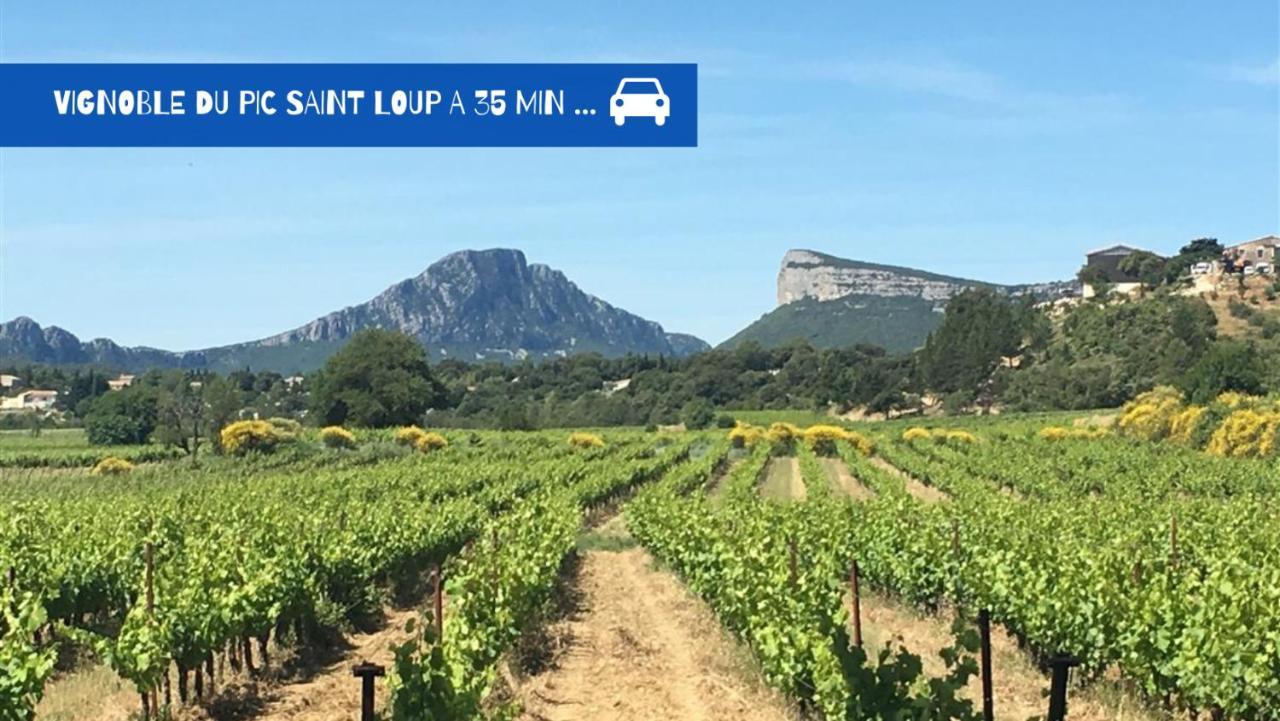 Apartament Uncourtsejour - Montpellier Gare - Parking Zewnętrze zdjęcie